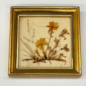 Vintage Dina West Germany Miniature Pressed Flower Art Gold Frame 3.75" x 3.75"
